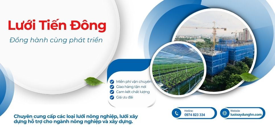 Banner website Lưới Tiến Đông