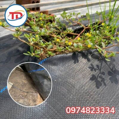 ưu điểm của bạt phủ chống cỏ 90gr 2m