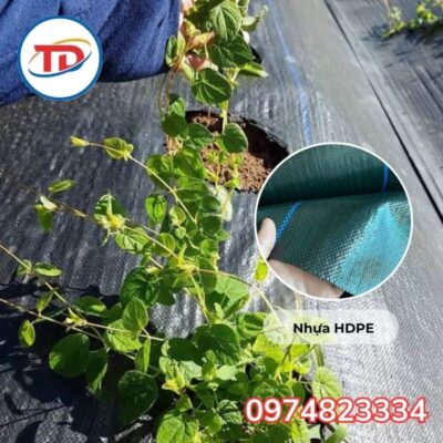 ứng dụng của bạt phủ chống cỏ 90gr khổ 3m