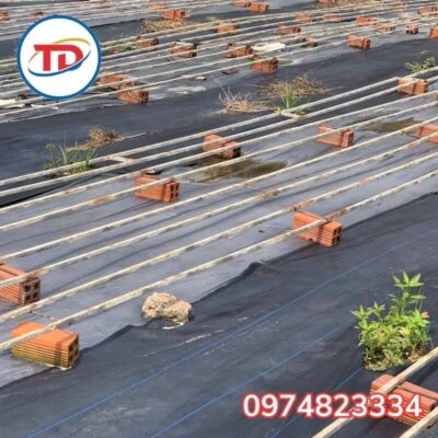 Bạt phủ cỏ trải nền đất 