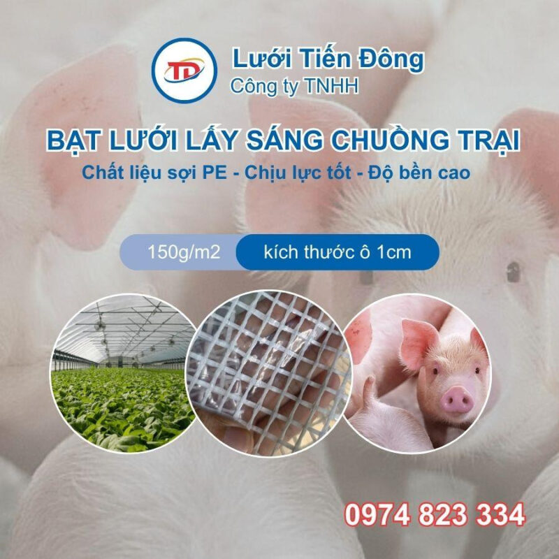Bạt nhựa trong suốt che mưa