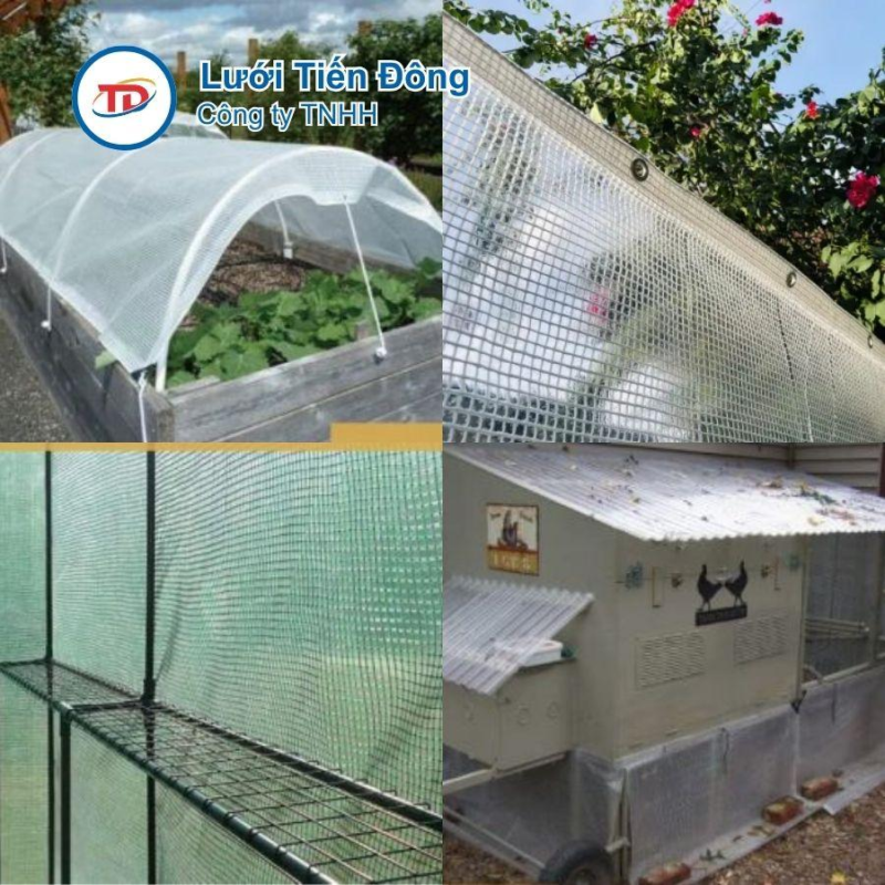 Bạt Che Mưa Lấy Sáng Leno