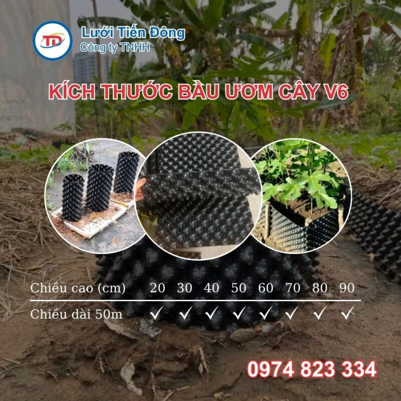 các loại bầu ươm cây