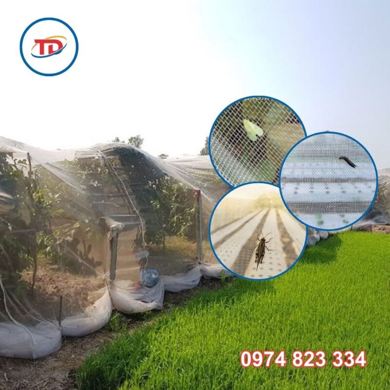 Các loại lưới ngăn côn trùng