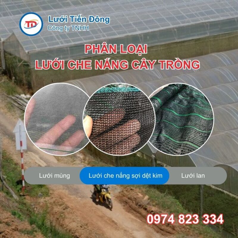 Các loại lưới chắn gió