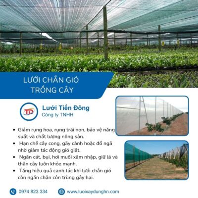 Lưới chắn gió trồng cây