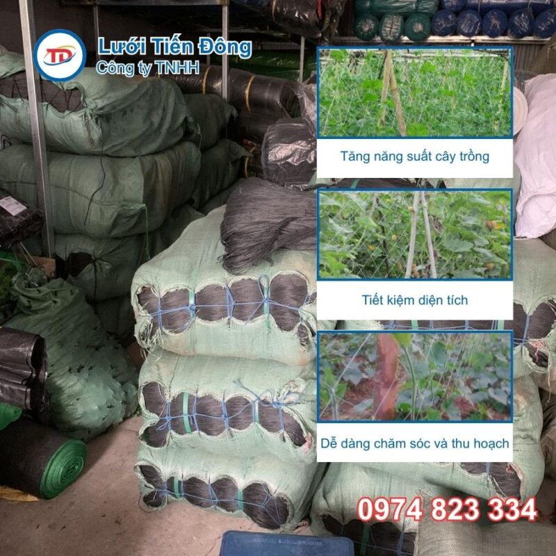 Lưới cước làm giàn cây leo khổ 2m 3m 4m 5m
