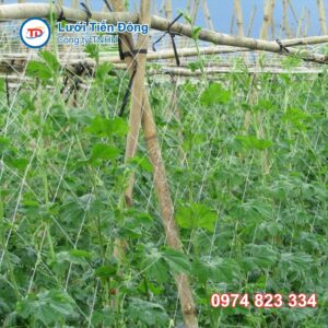 Lưới giàn dây leo