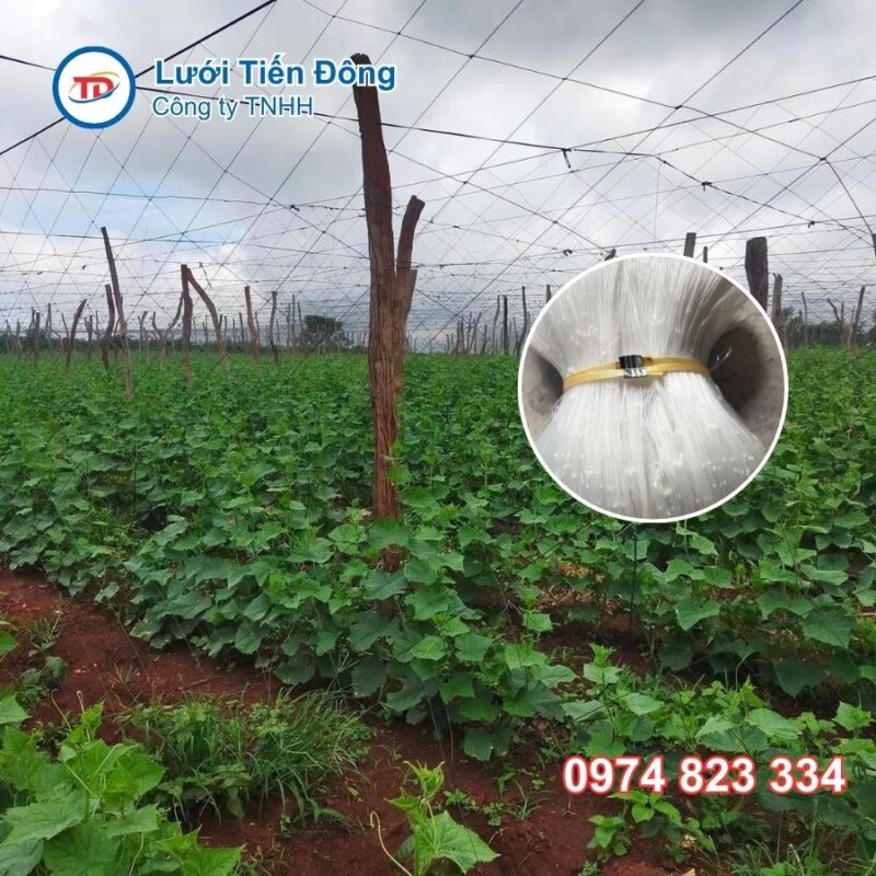 Lưới Làm Giàn Leo Mướp, Bầu Bí Giá Rẻ