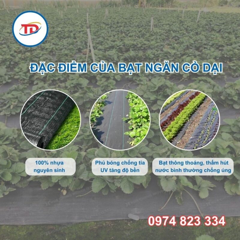 Bạt phủ cỏ nông nghiệp