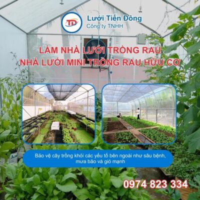 Nhà lưới trồng rau