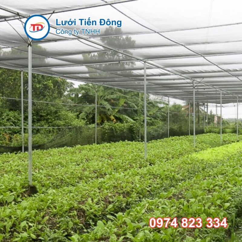 Mua lưới che nắng Việt Nam giá rẻ