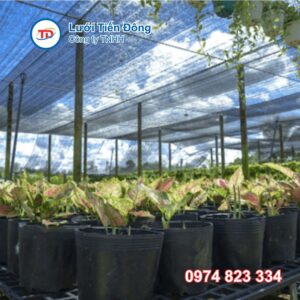 Lưới che nắng Việt Nam giá rẻ