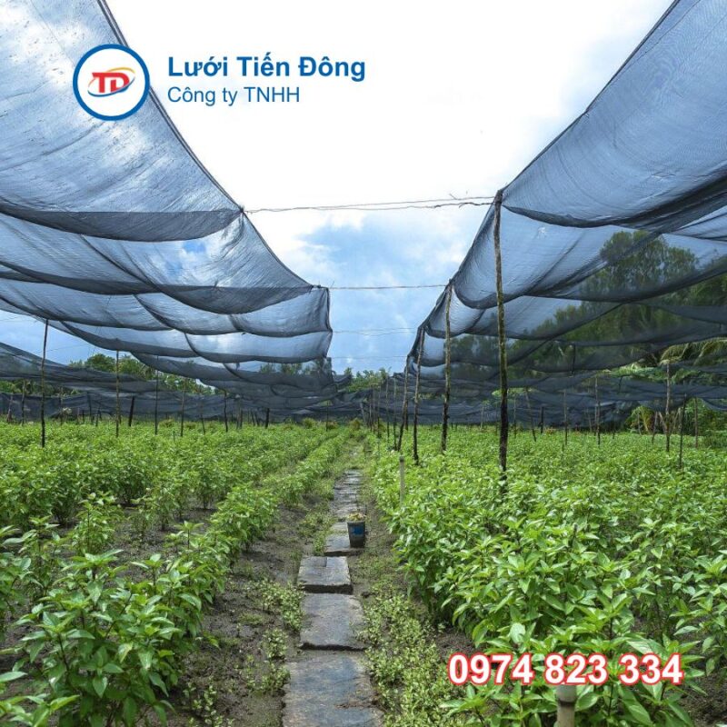 Lưới che nắng giá rẻ