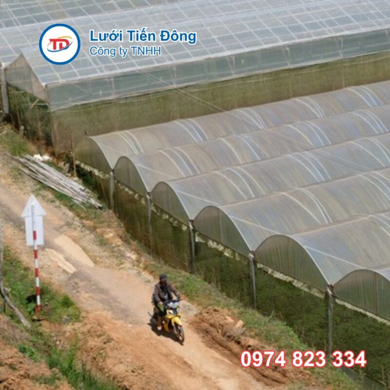 Màng nhà kính chất lượng