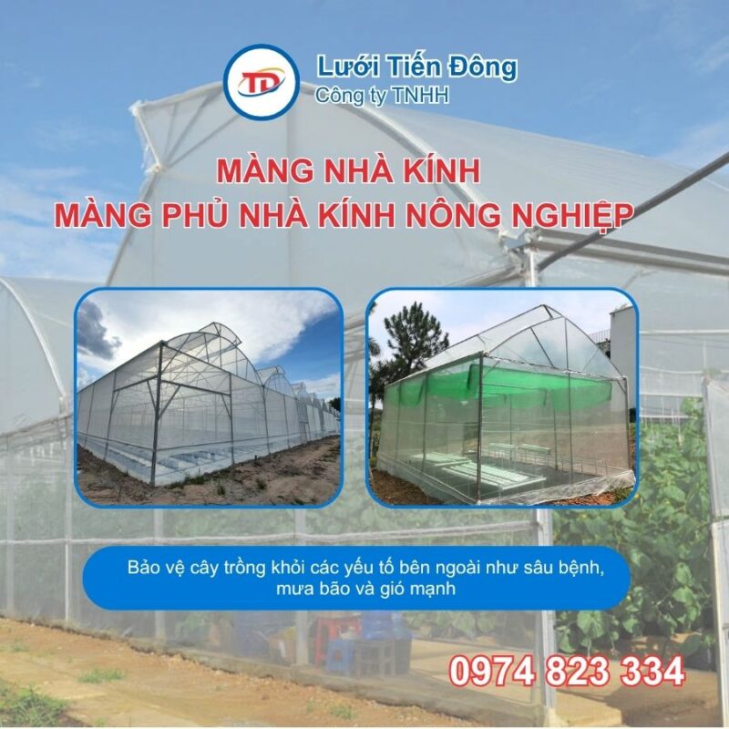 Màng nhà kính giá rẻ