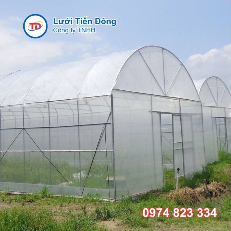 Màng nhà kinh tphcm