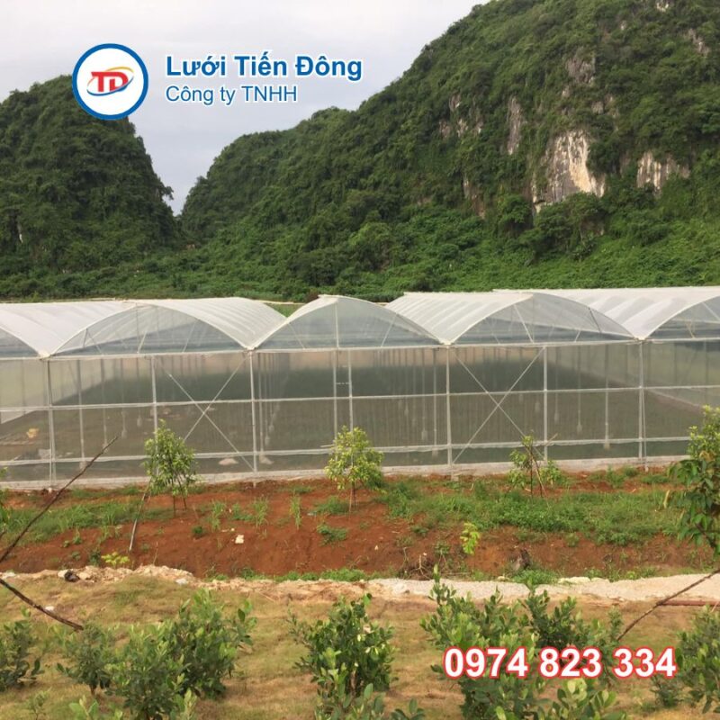làm nhà kính giá rẻ