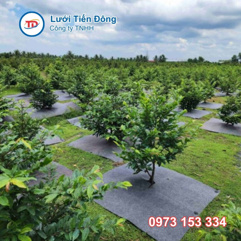 Bạt phủ chống cỏ tốt