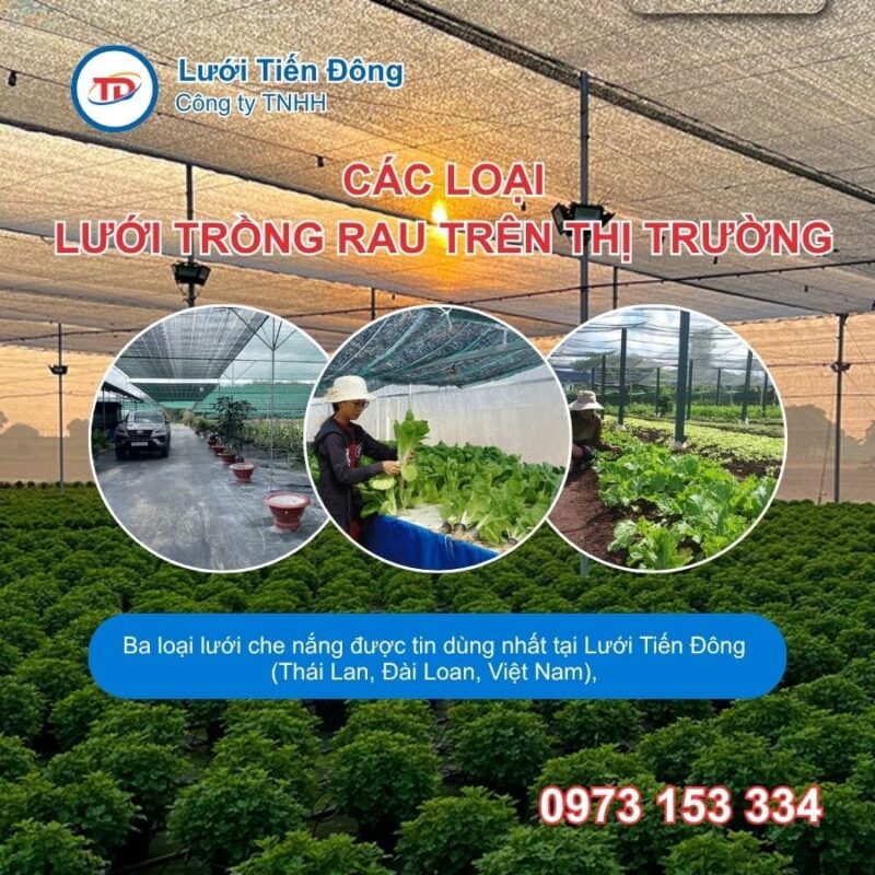 các loại lưới che nắng trồng rau