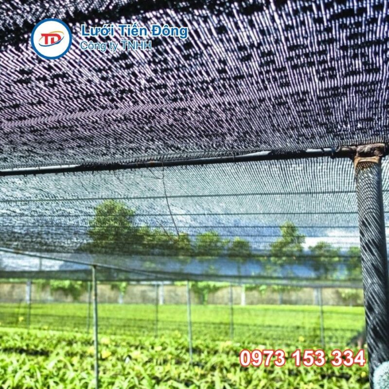 các loại lưới che nắng