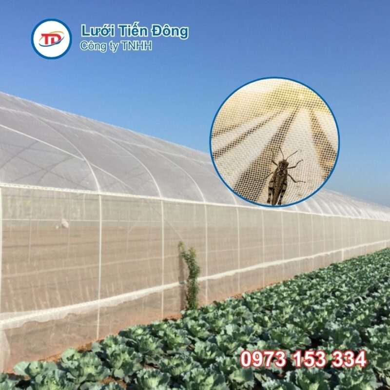 Lưới chống côn trùng nông nghiệp