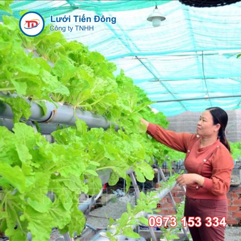 lưới che nắng hcm