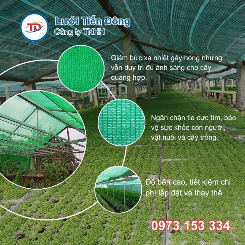 Lưới che màu xanh