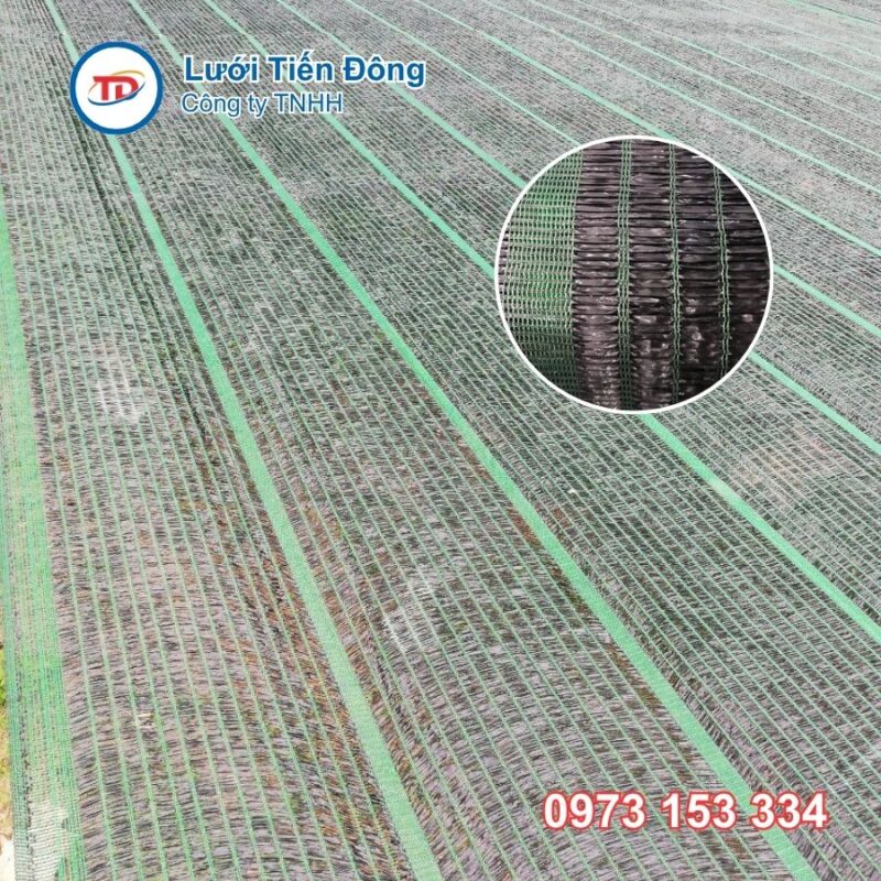 lưới che nắng thái lan