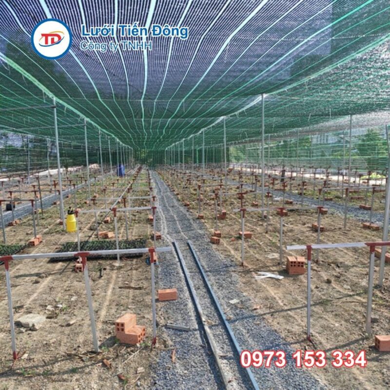 lưới che nắng thái lan