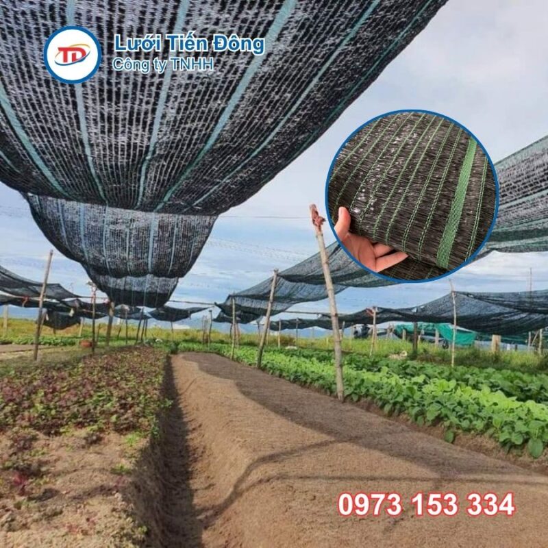 giá lưới che nắng trồng rau 