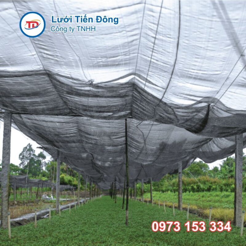 lưới che nắng trồng rau giá rẻ