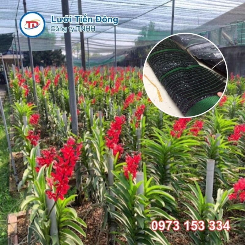 lưới che vườn lan