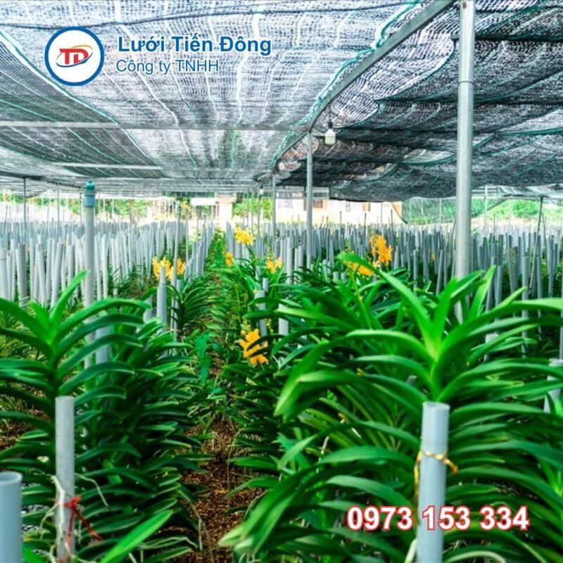 lưới che vườn lan chất lượng