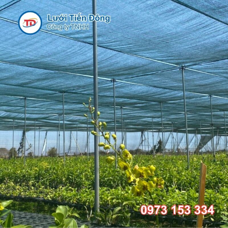 lưới che vườn lan uy tín