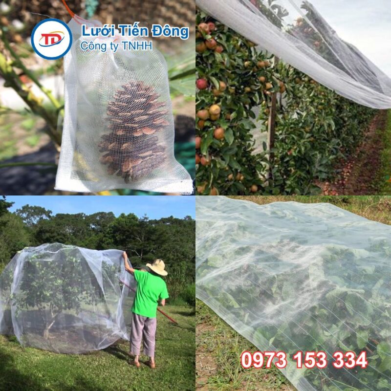 giá lưới chống côn trùng tốt