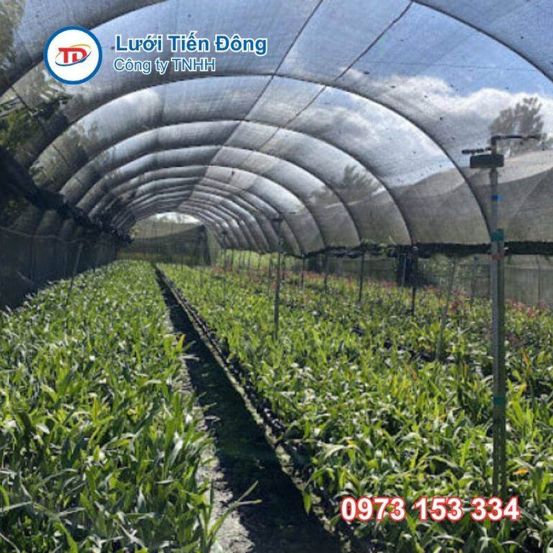 Lưới dệt kim che nắng