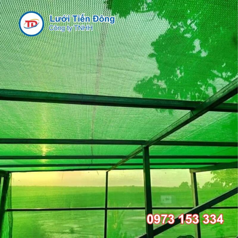 Lưới xanh che nắng