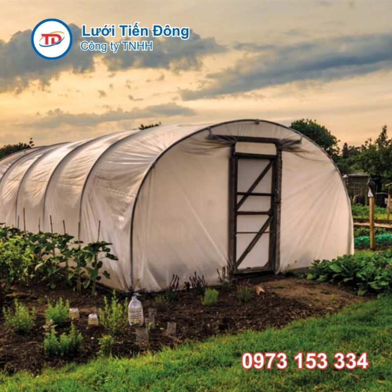 Màng nhà kính nông nghiệp