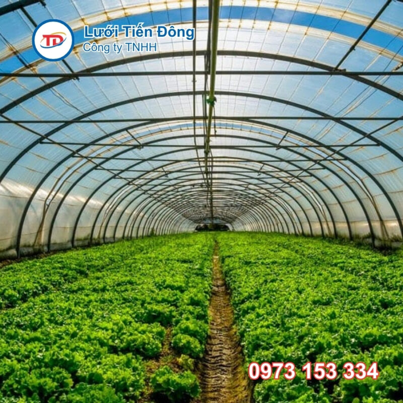 Màng nhà kính nông nghiệp giá rẻ tphcm
