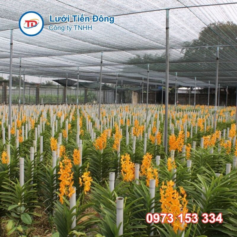 mua lưới che vườn lan