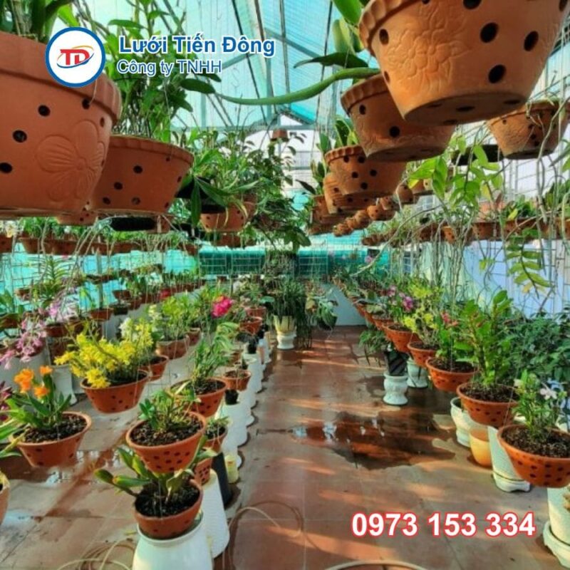 mua lưới che lan chất lượng