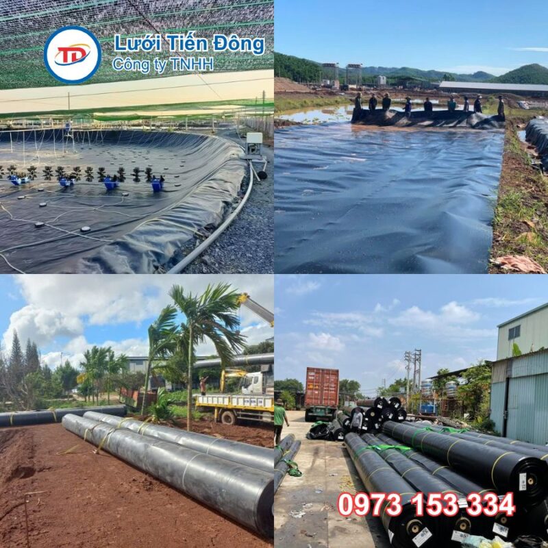 Bạt chống thấm hdpe