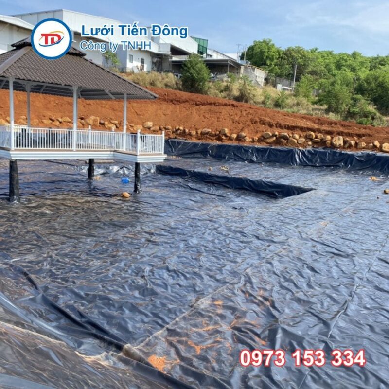 Bạt lót hồ cá
