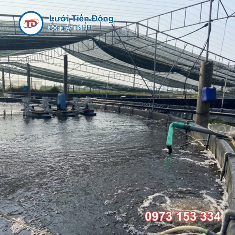 lưới che ao tôm