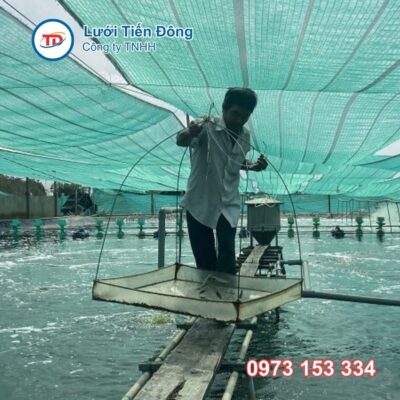 lưới che nắng ao tôm
