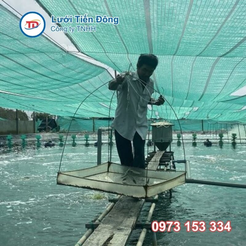 lưới che nắng ao tôm