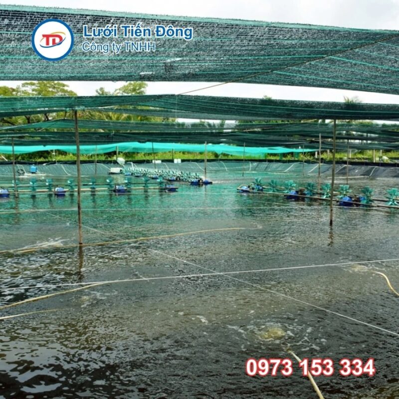 lưới che nắng ao tôm ao cá