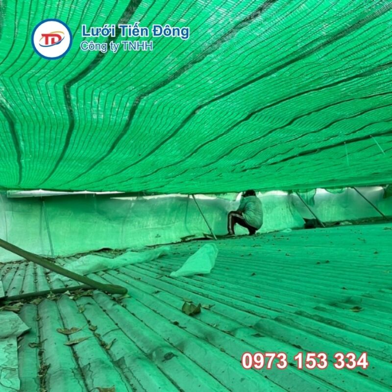 lưới chống nóng tôn