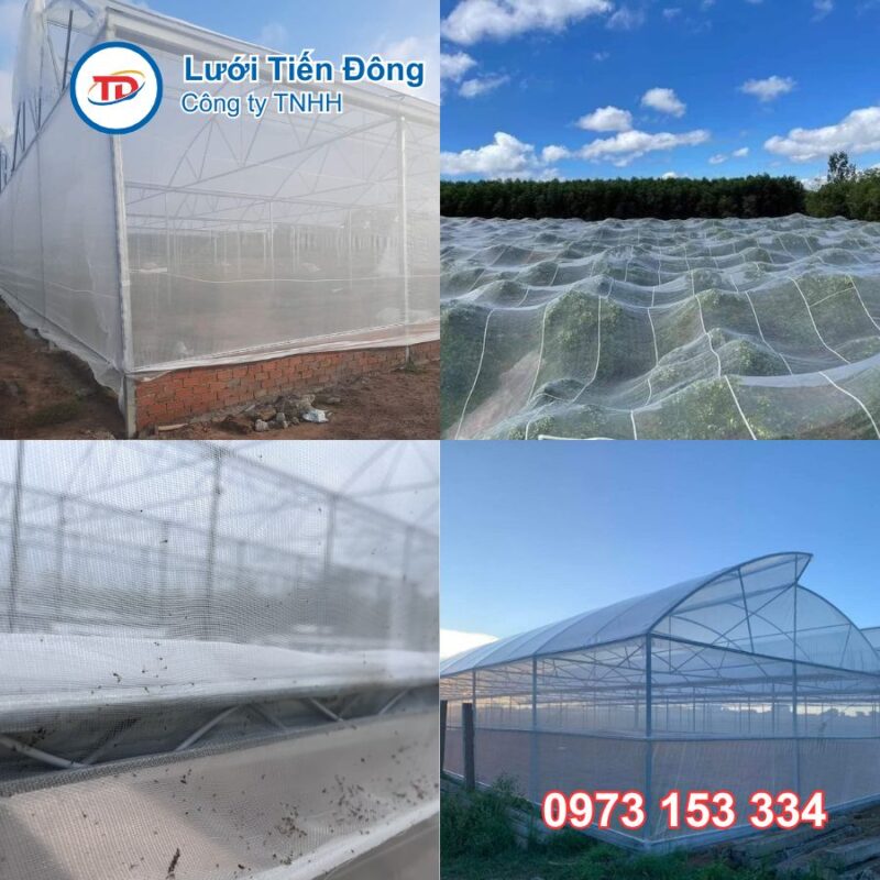 Lưới chuồng trại